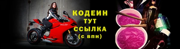 дживик Белокуриха