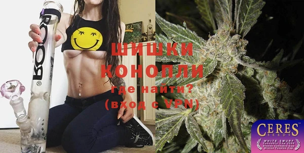 дживик Белокуриха