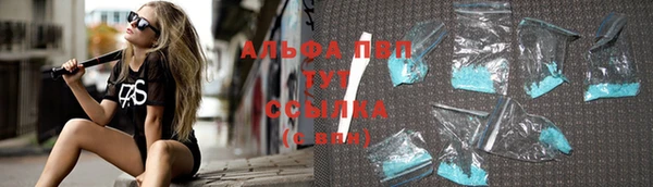 дживик Белокуриха