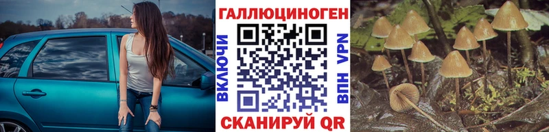 Галлюциногенные грибы мухоморы Видное