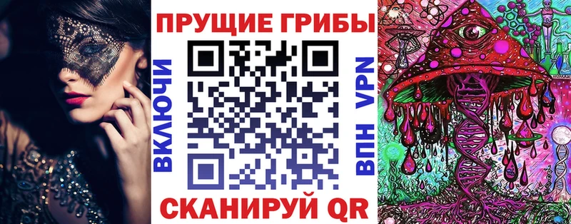 мега ссылки  Видное  Псилоцибиновые грибы Psilocybine cubensis  что такое наркотик 