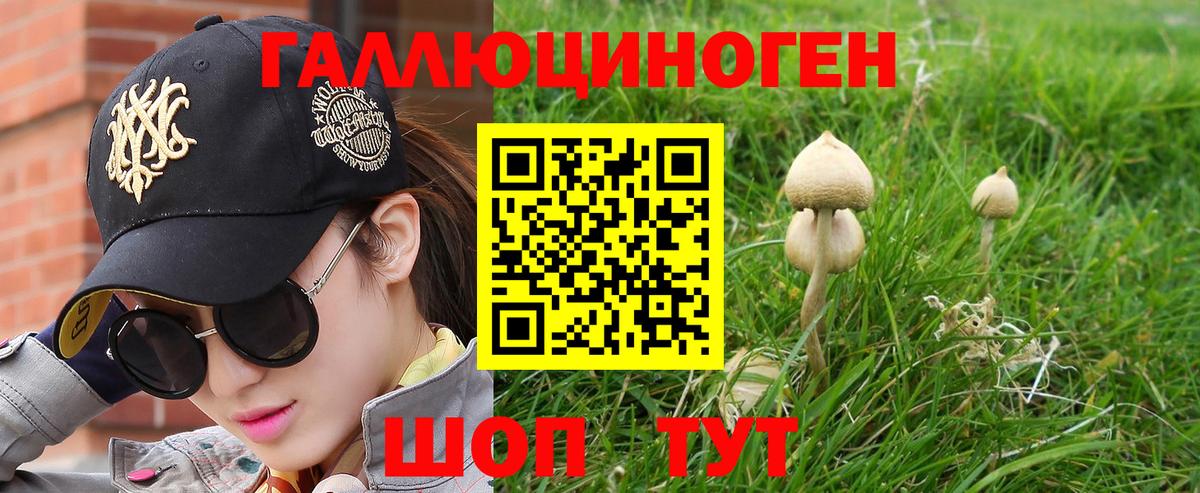 Галлюциногенные грибы MAGIC MUSHROOMS Видное