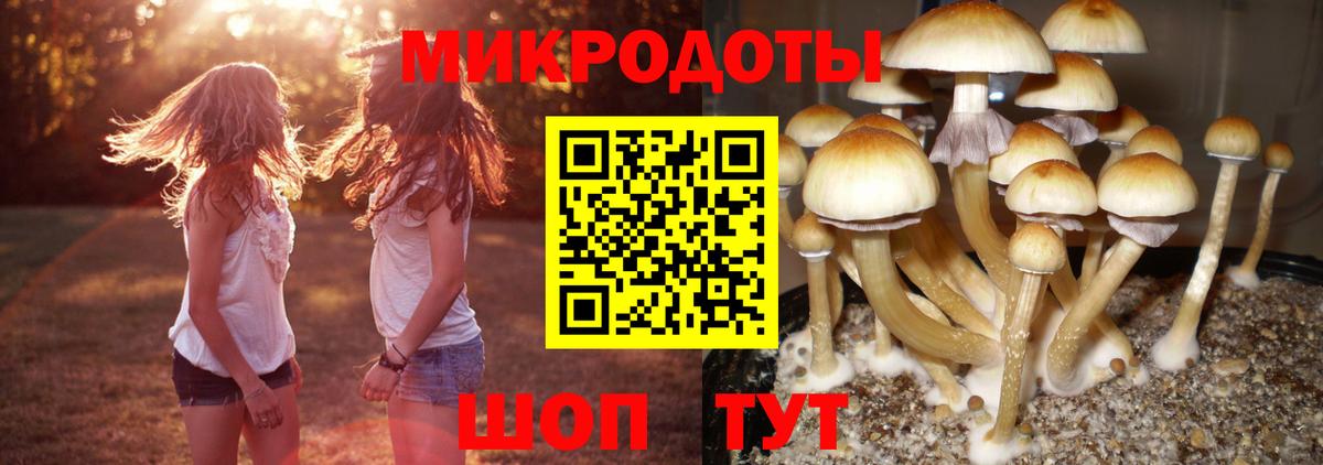 Псилоцибиновые грибы Psilocybine cubensis  Псилоцибиновые грибы Cubensis  наркошоп  Видное  Вход с VPN 
